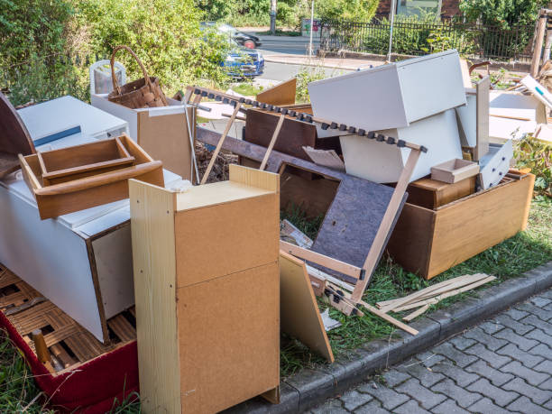 Best Dumpster Rental Services  in Ovid, MI