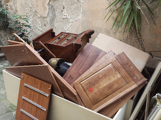Best Affordable Junk Removal Services  in Ovid, MI